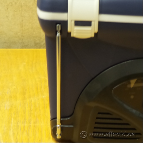 Mini on sale cooler radio